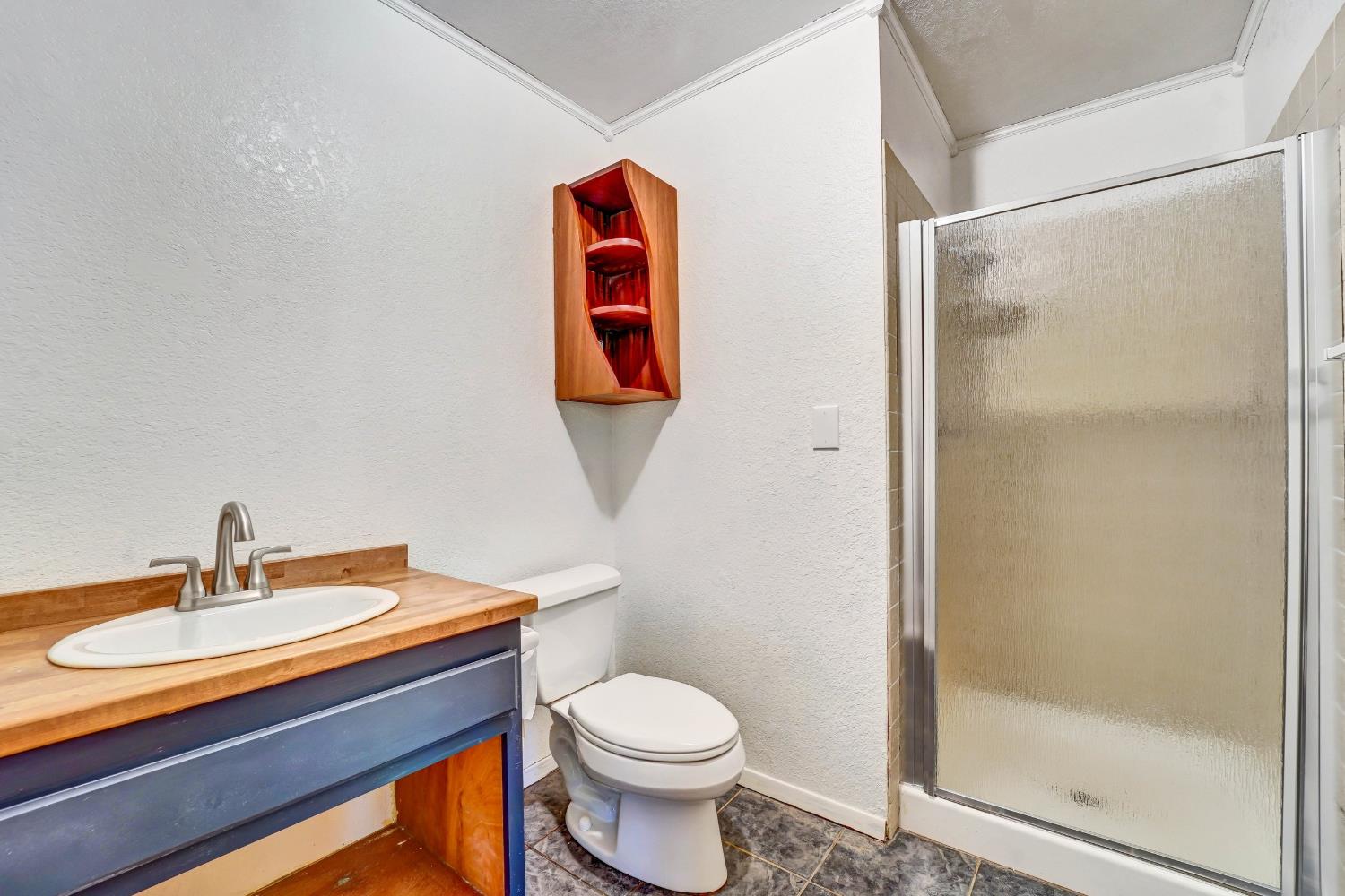 Bathroom with a wood-countertop vanity, toilet, and frosted-glass shower.