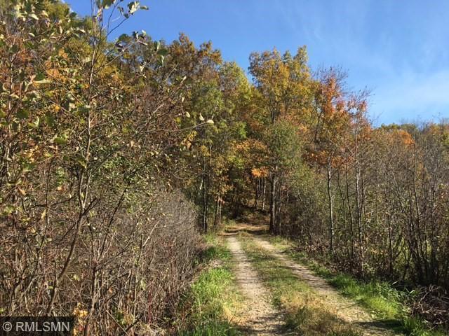 19301 N Manning Trail