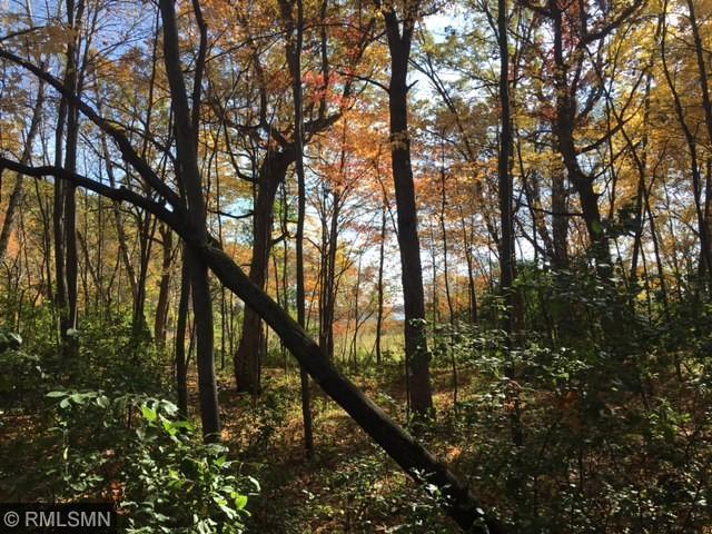 19301 N Manning Trail