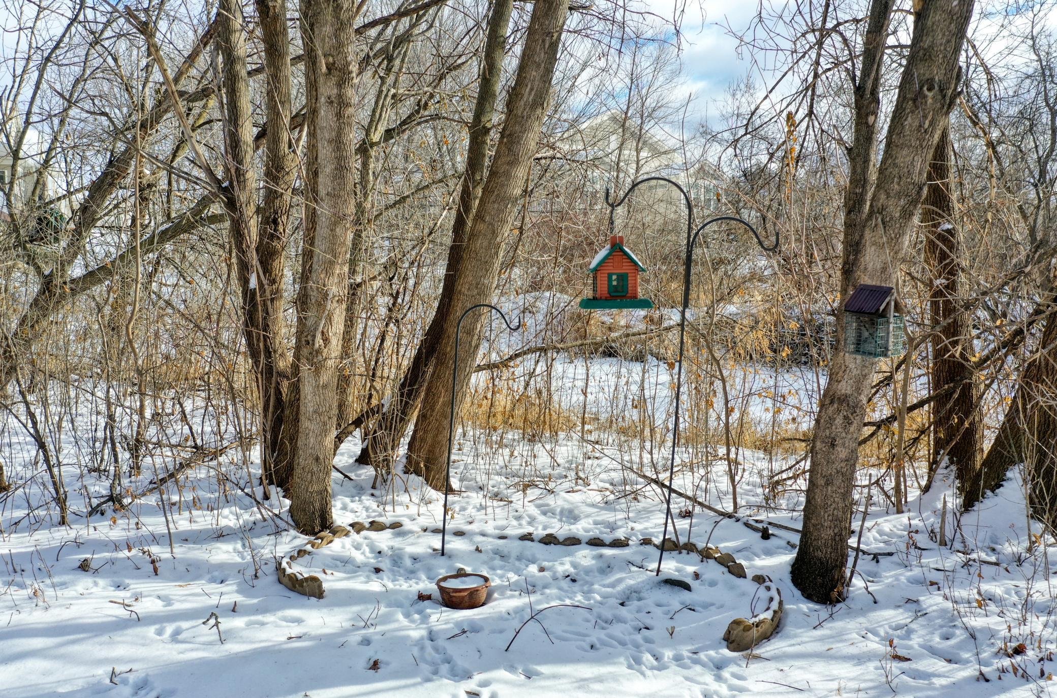 20575 Everton Court N Court