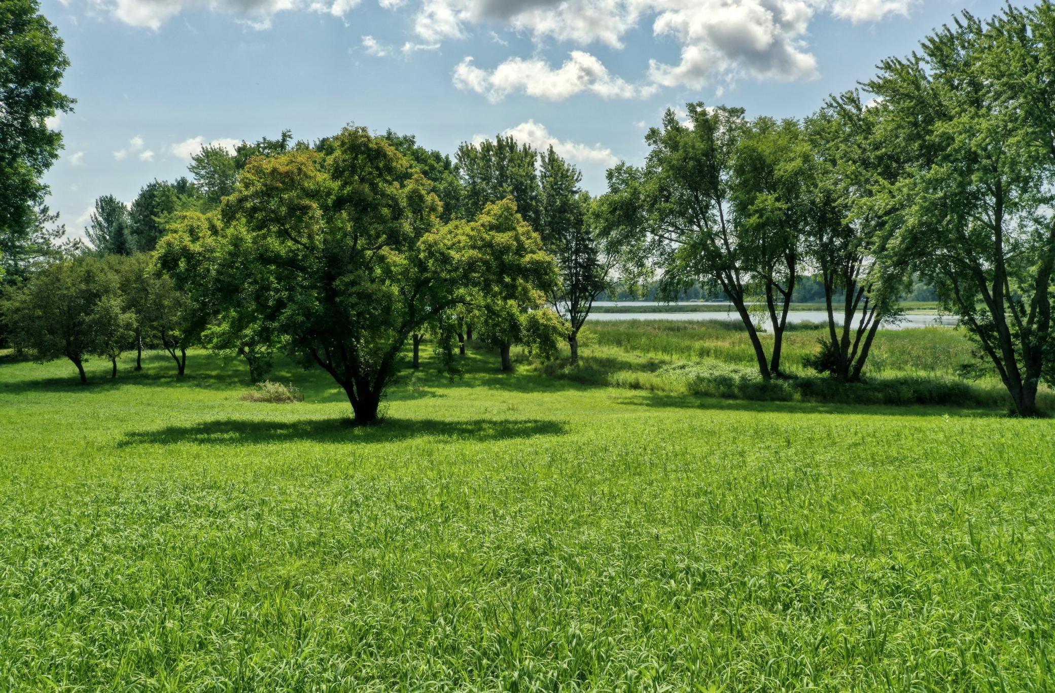 15055 Little Lake Road