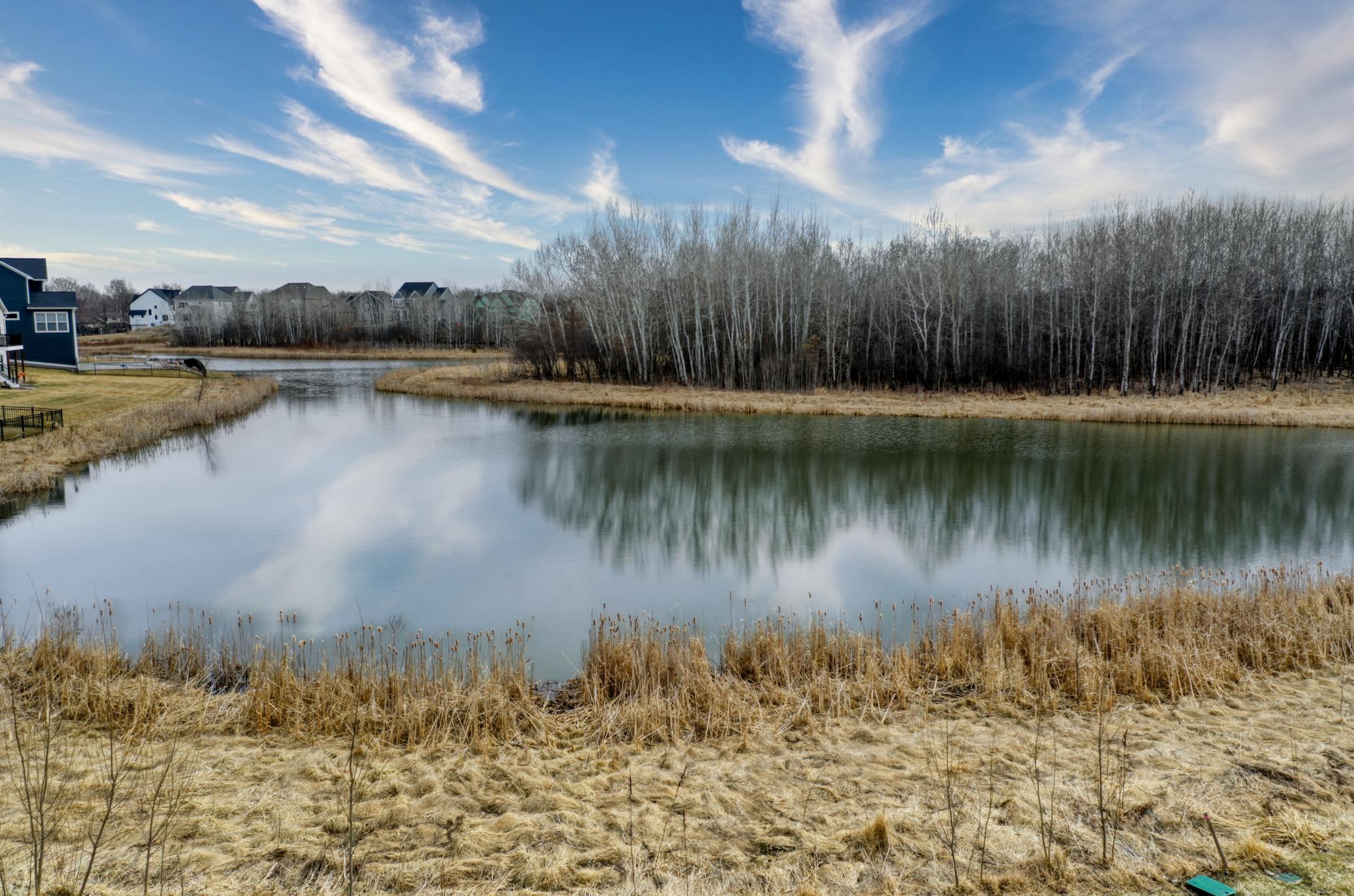 13301 Fondant Trail N