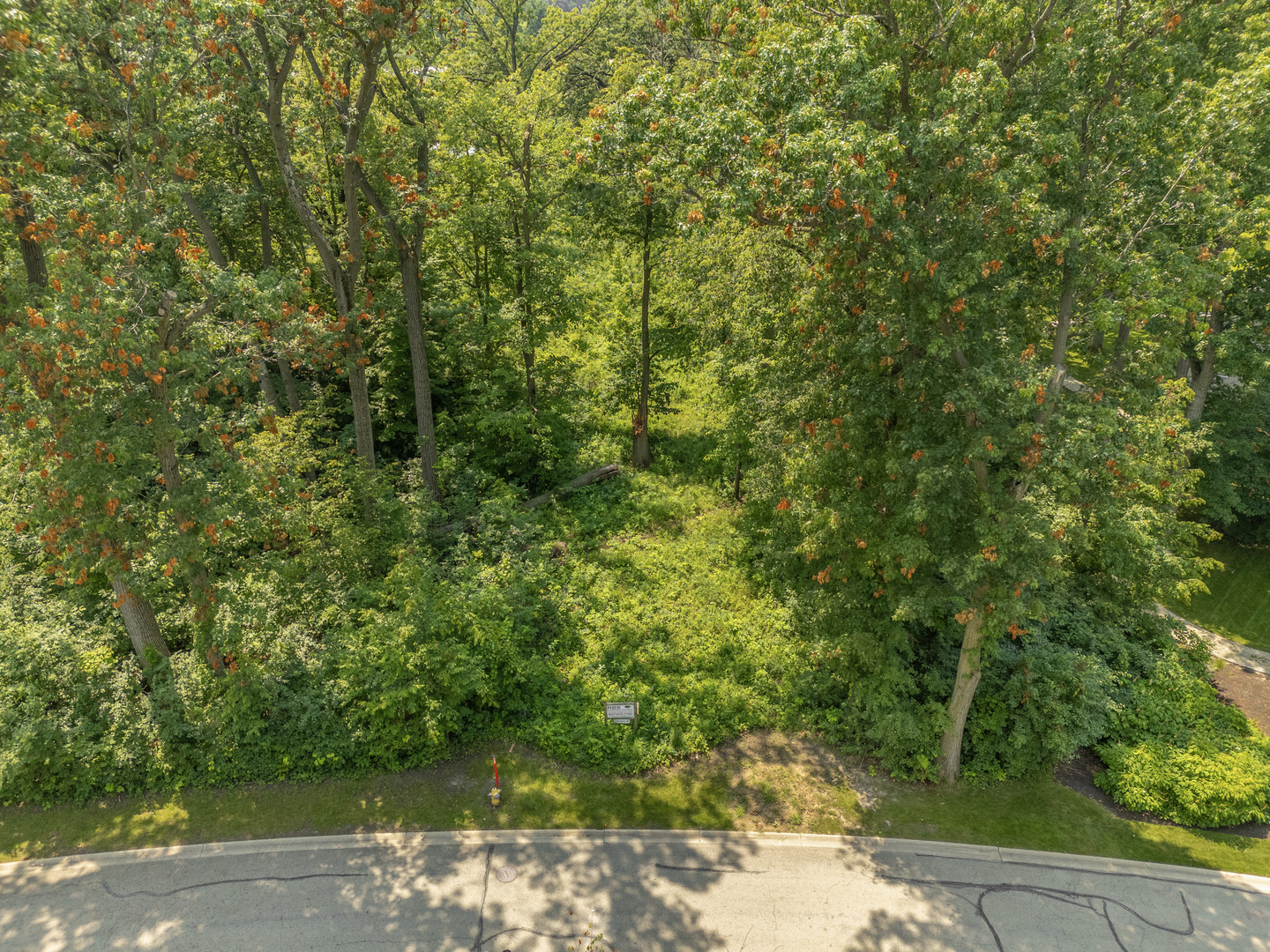 26419 N Farwell Road