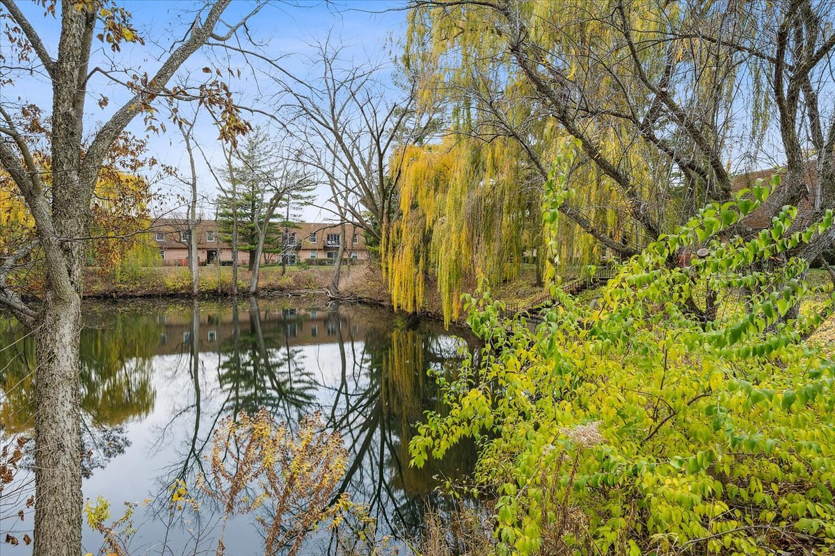 1230 Park Avenue W Unit: 213