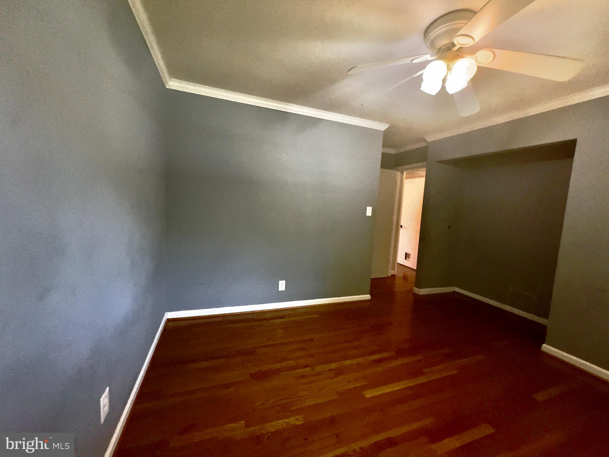 4449 WILLOW TREE LANE