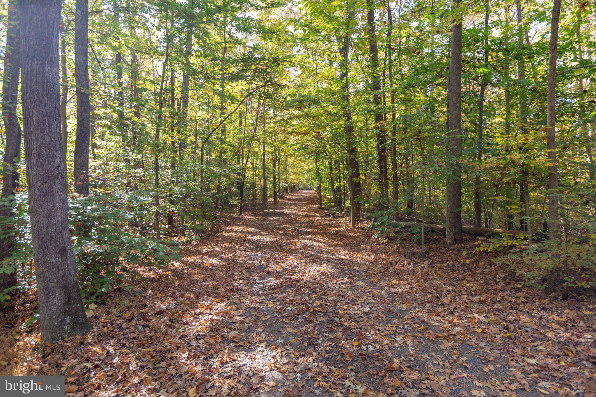 9337 GREEN ARBOR DRIVE