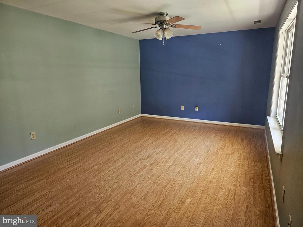 Empty room with wood-look flooring, a blue accent wall, ceiling fan, and tall windows.