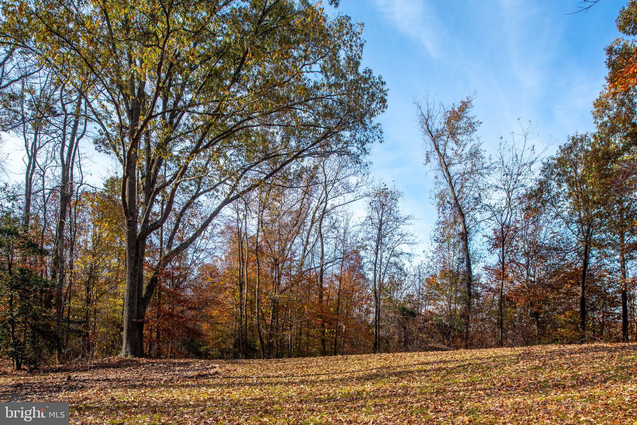 8486 MOUNT MORIAH CHURCH ROAD