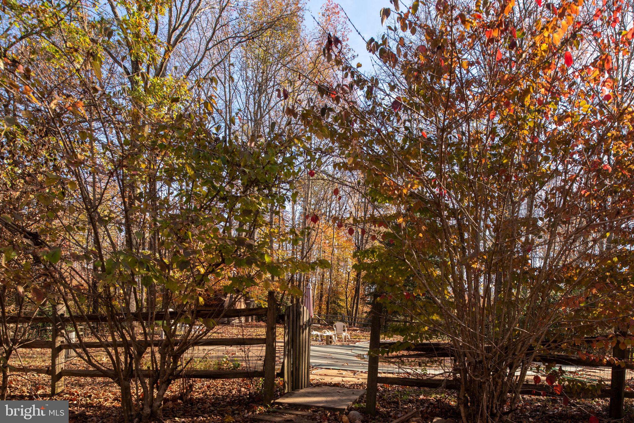 8486 MOUNT MORIAH CHURCH ROAD