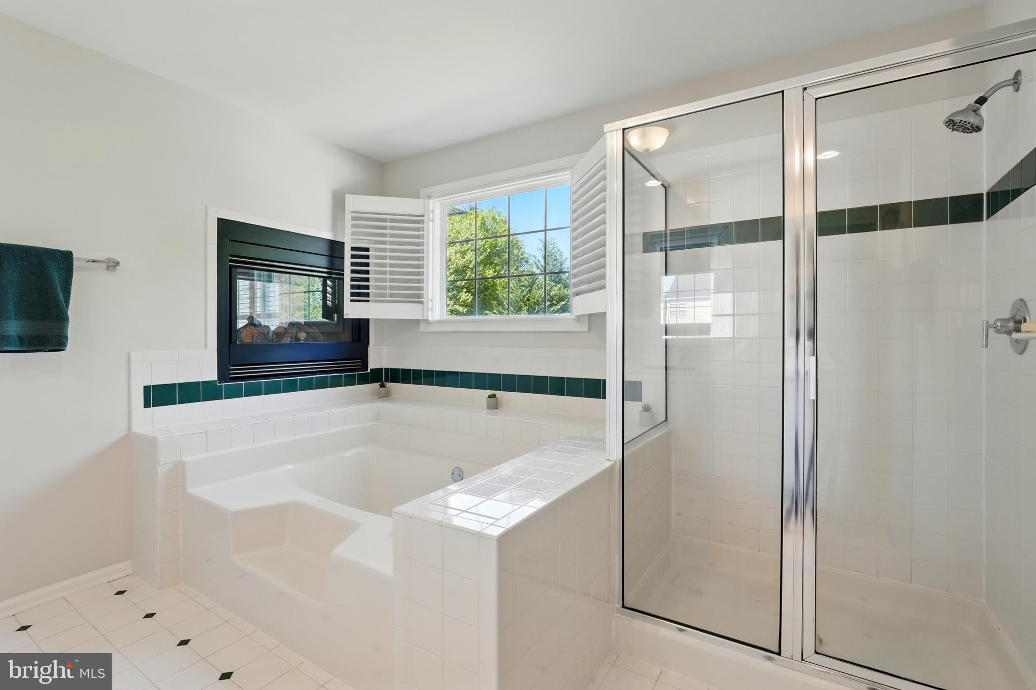 11209 SPRING MEADOW BOULEVARD