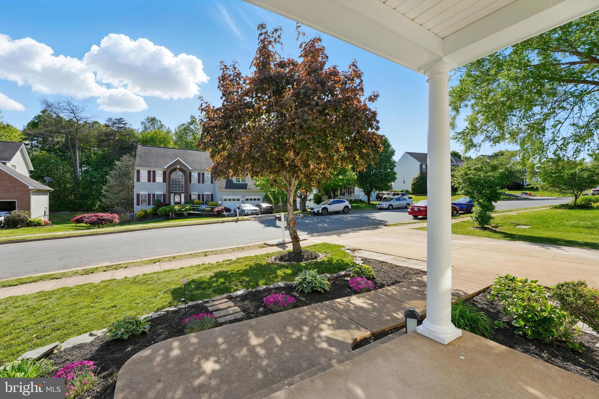 11209 SPRING MEADOW BOULEVARD