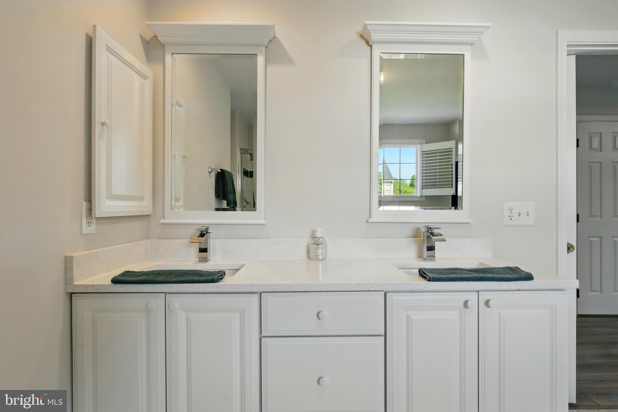 11209 SPRING MEADOW BOULEVARD