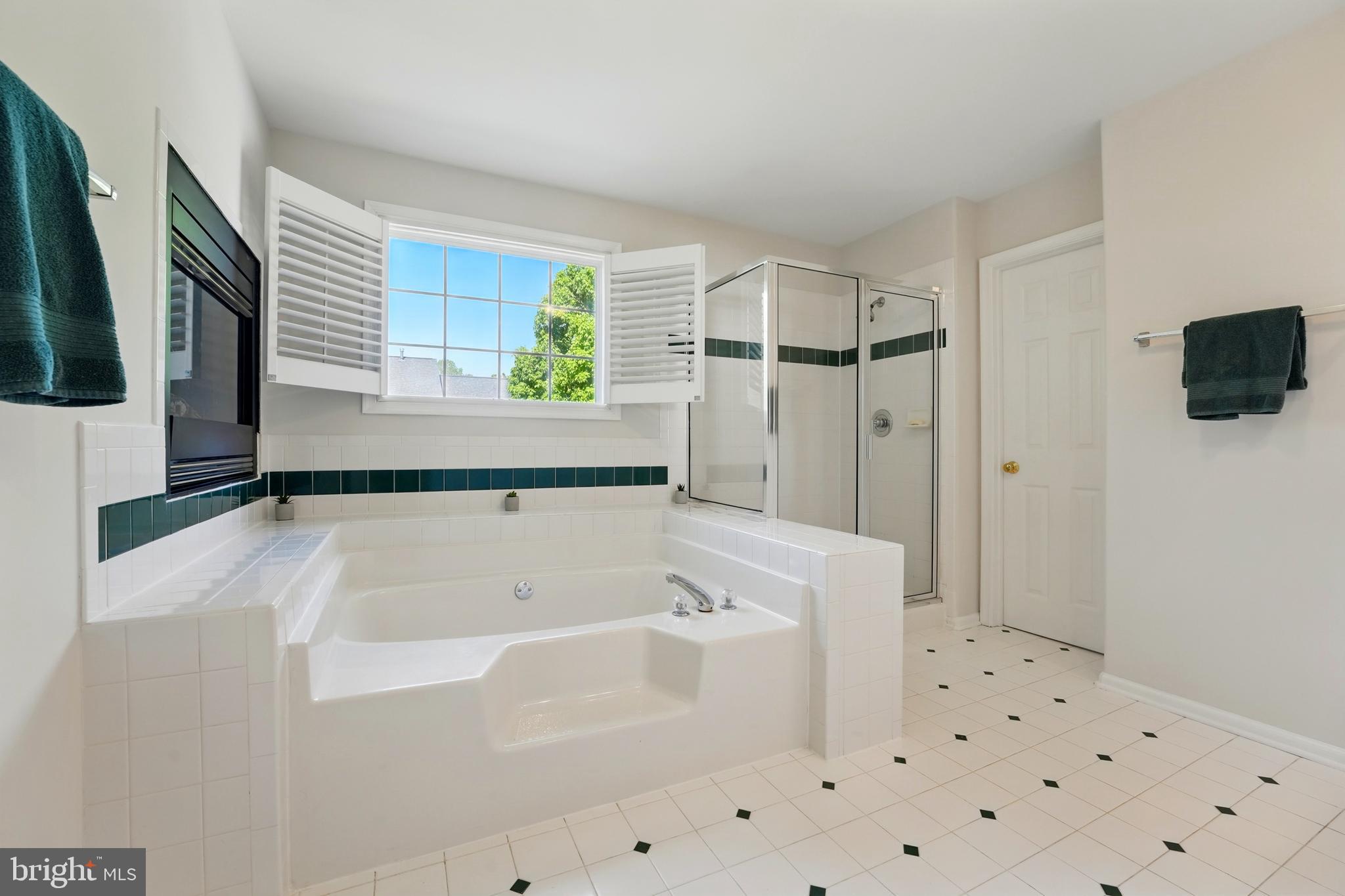 11209 SPRING MEADOW BOULEVARD