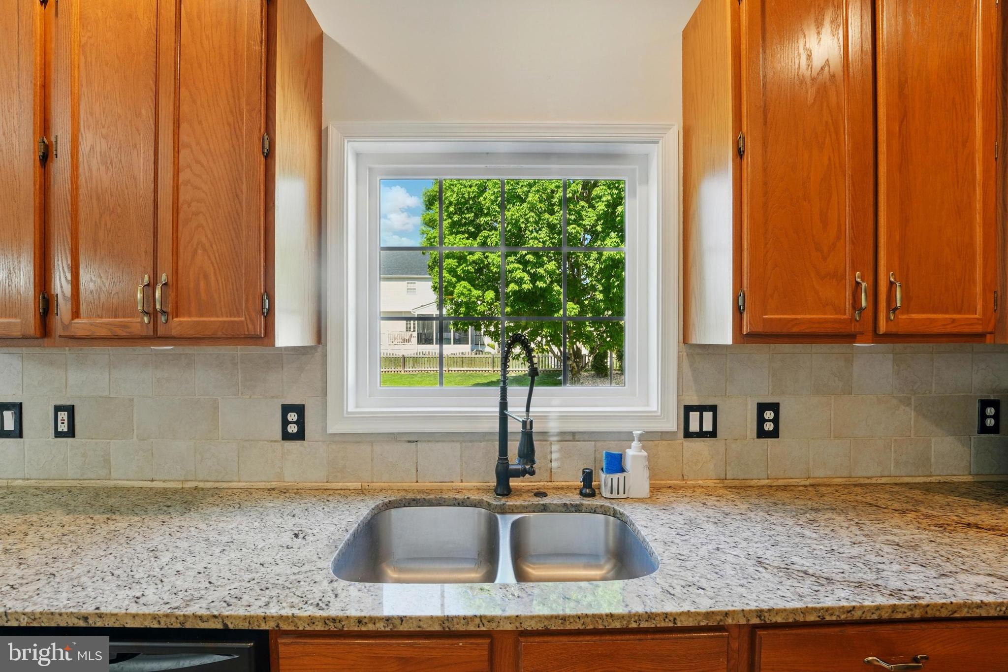 11209 SPRING MEADOW BOULEVARD