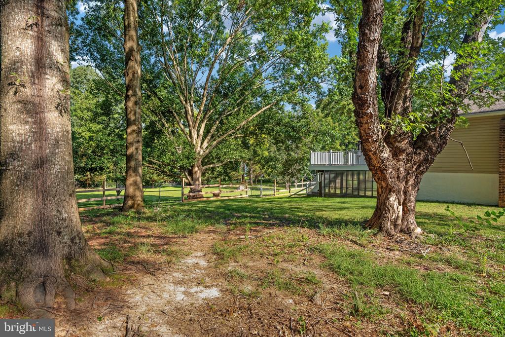 31 APACHE LANE