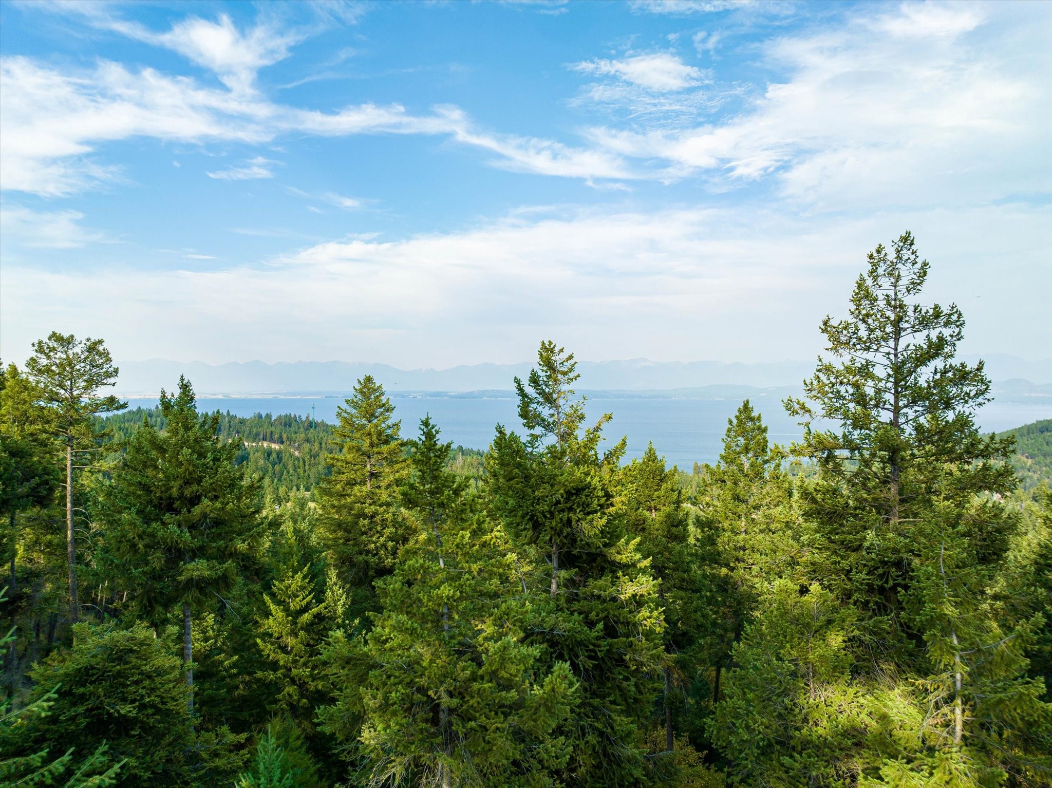 1065 Trappers Creek Road