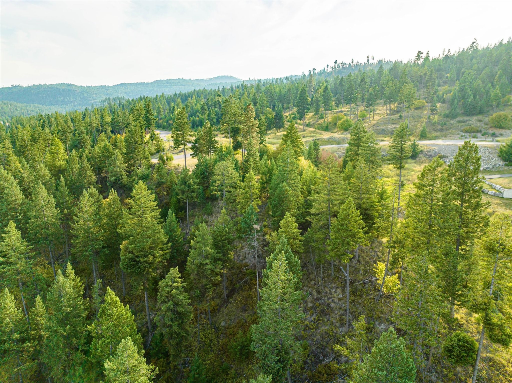 1065 Trappers Creek Road