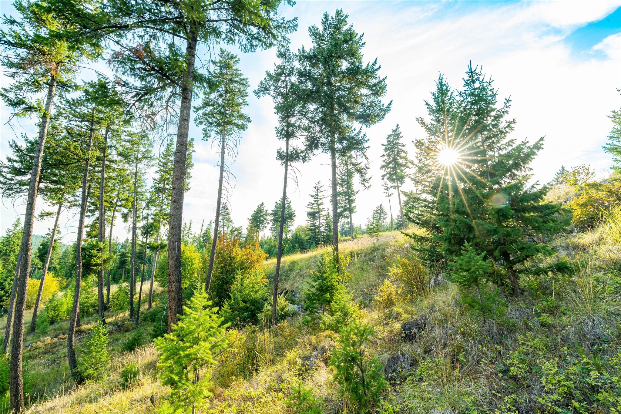 1065 Trappers Creek Road
