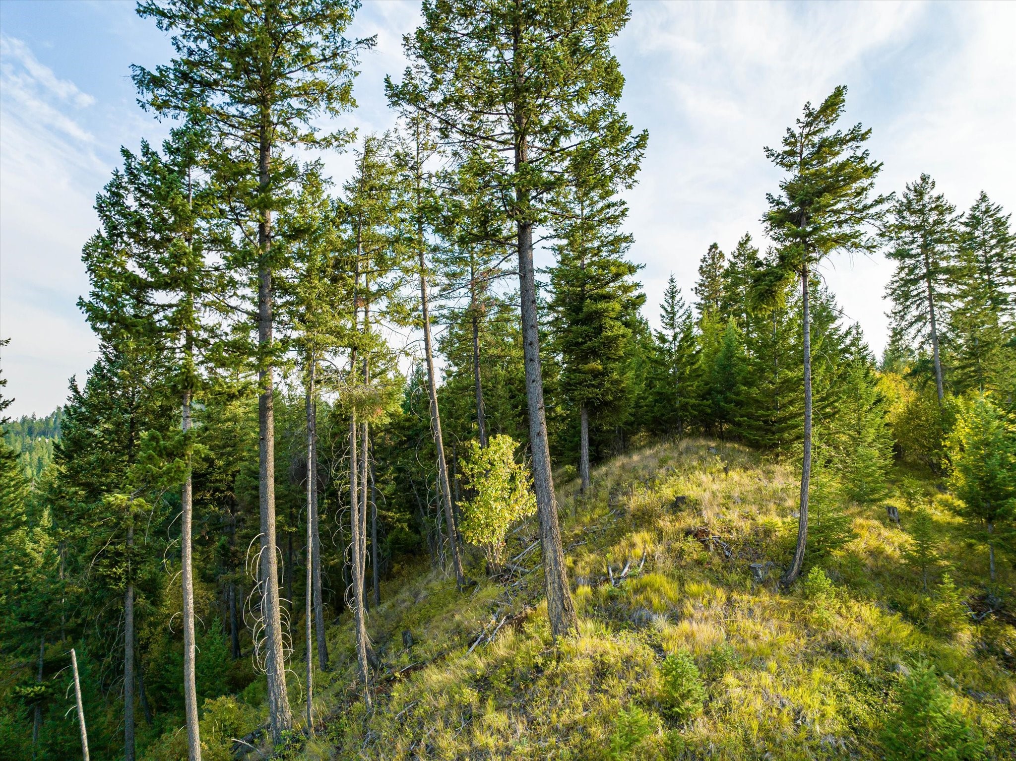 1065 Trappers Creek Road