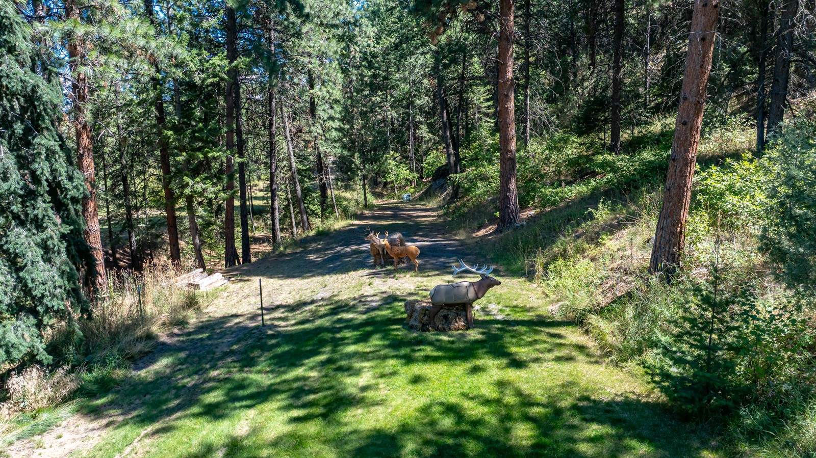 42827 Ponderosa Way