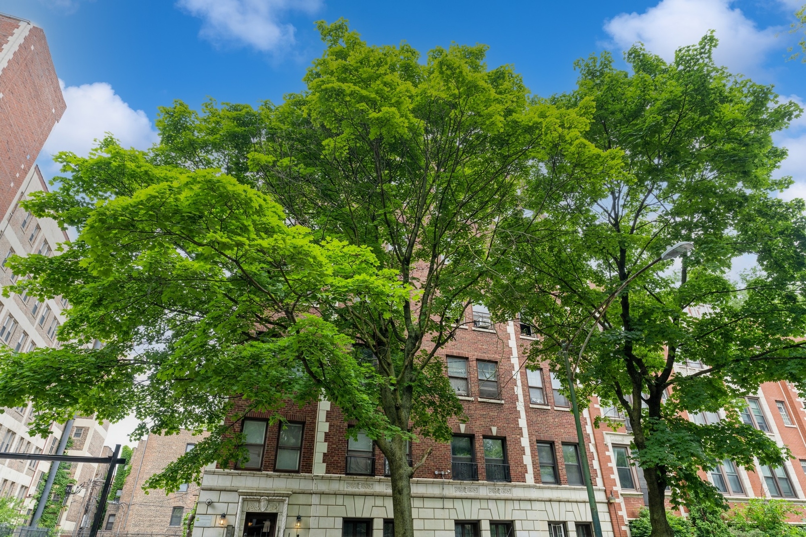 5135 S Kenwood Avenue Unit: 303