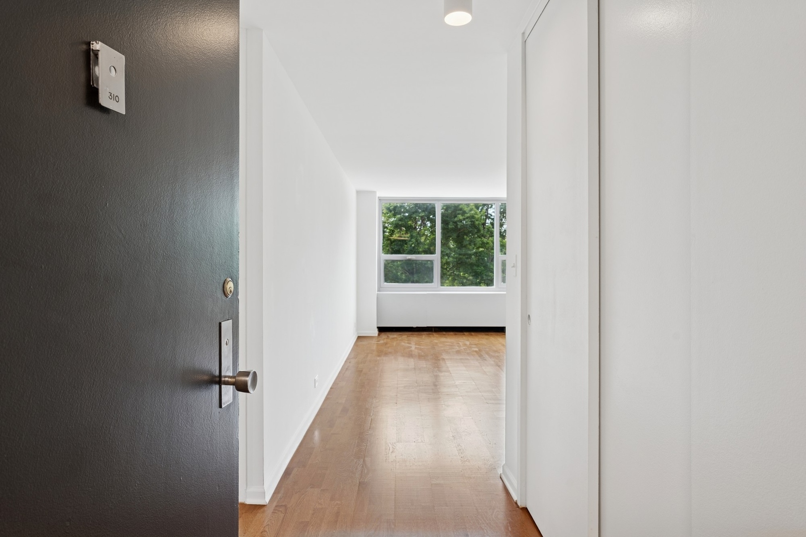 1700 E 56th Street Unit: 310