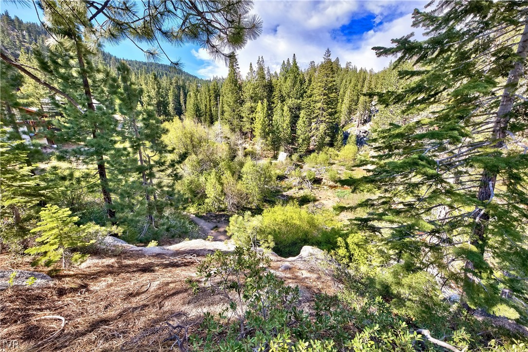 1313 Arosa Court