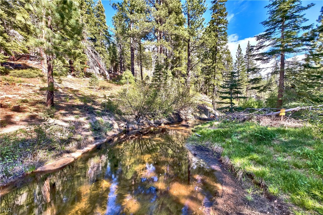 1313 Arosa Court