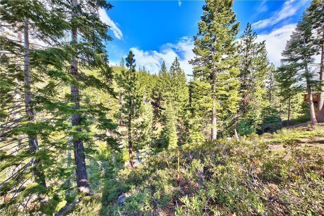 1313 Arosa Court