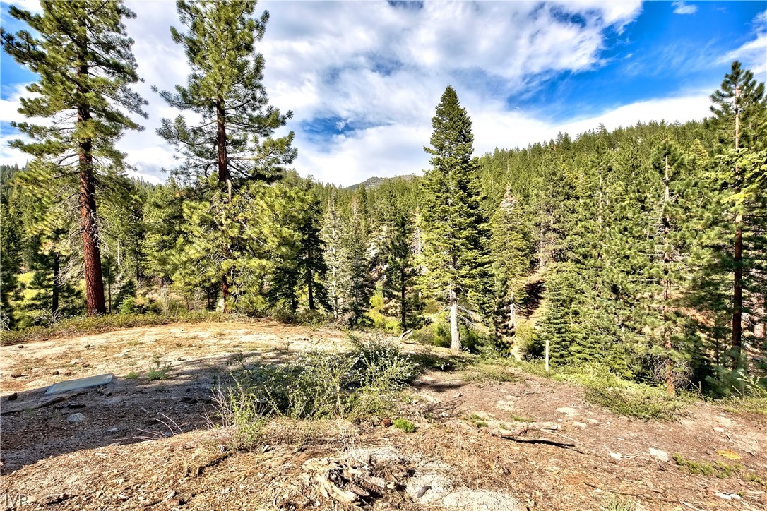 1313 Arosa Court