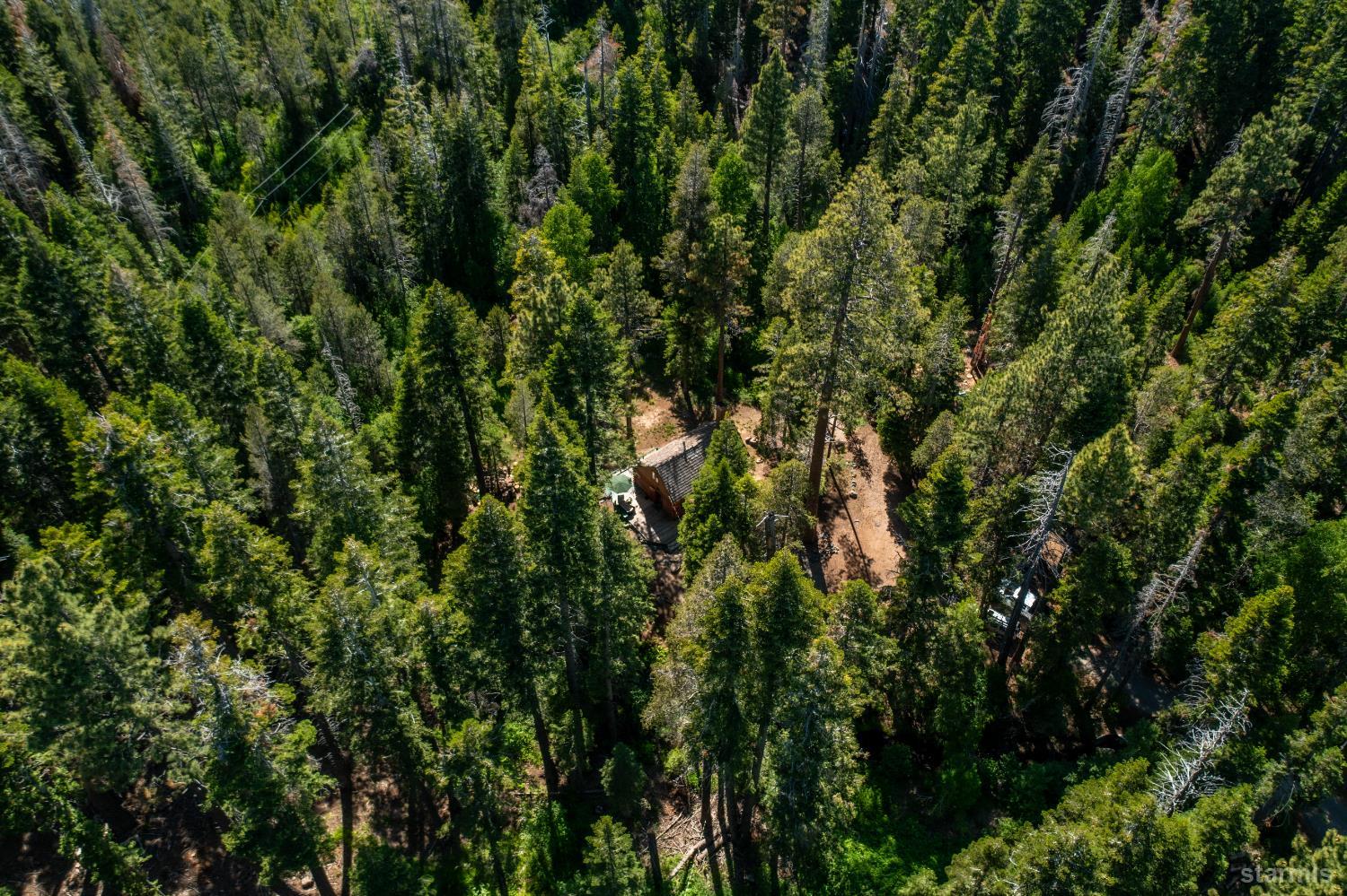 1900 Alliklik Road