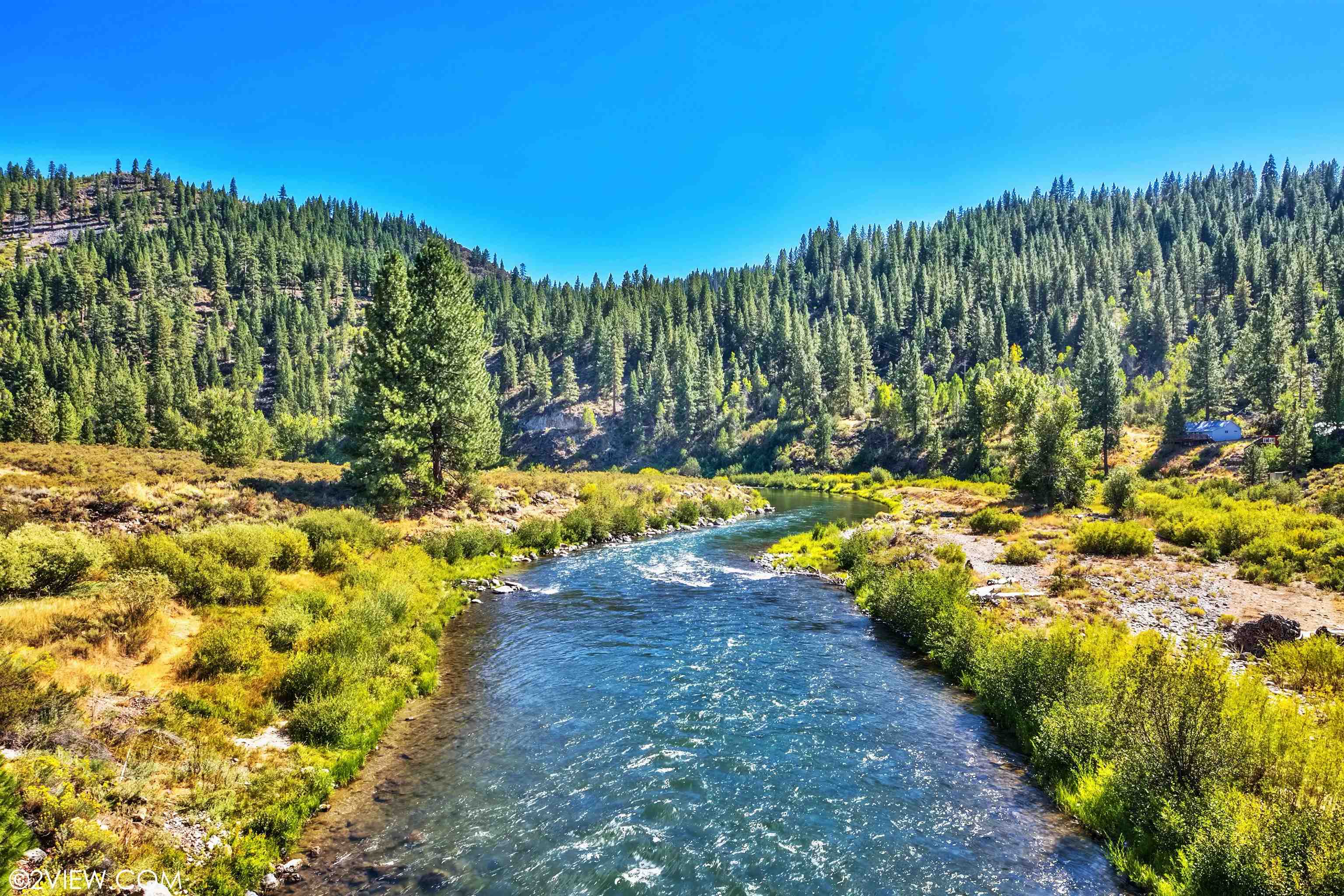 11351 Dorchester Drive