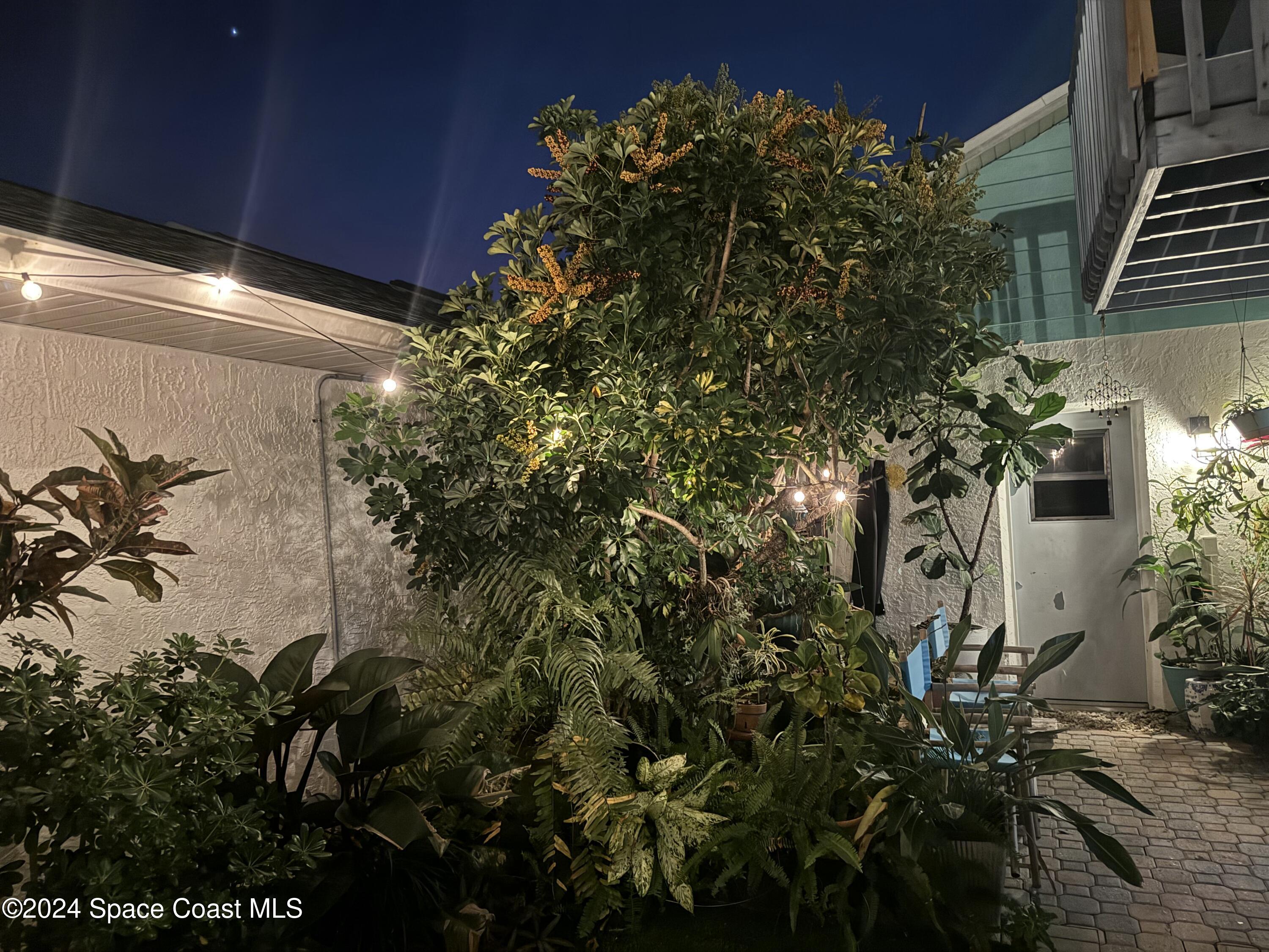 909 Wilshire Court