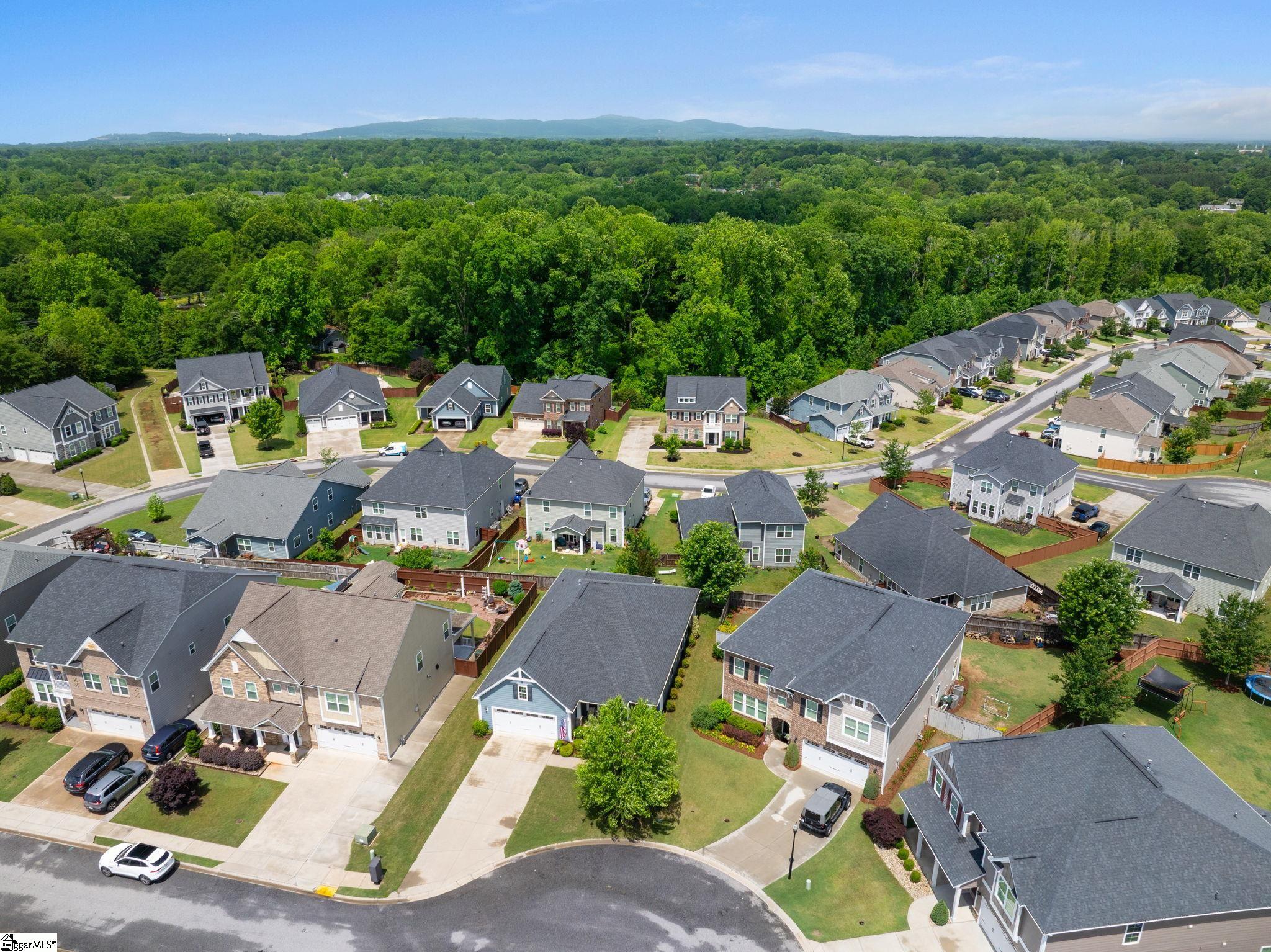 407 Blue Peak Court
