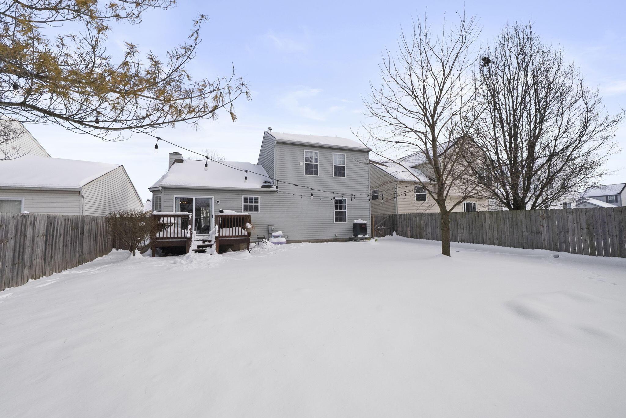 2297 Shelby Lane
