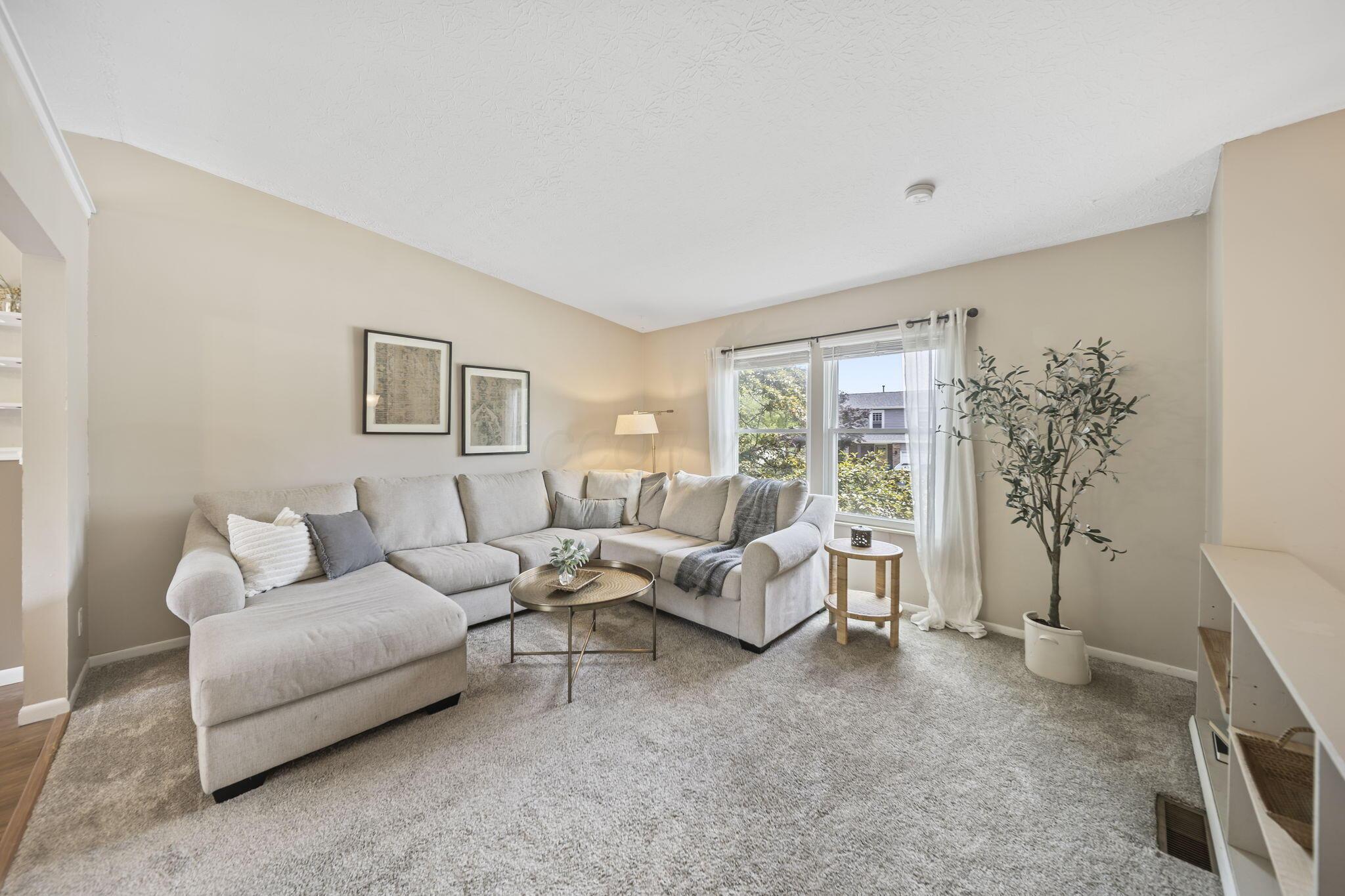 3608 Cypress Creek Drive