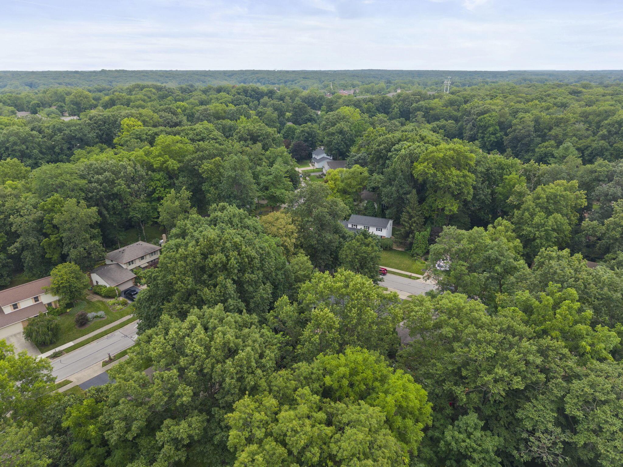 1082 Autumn Woods Drive