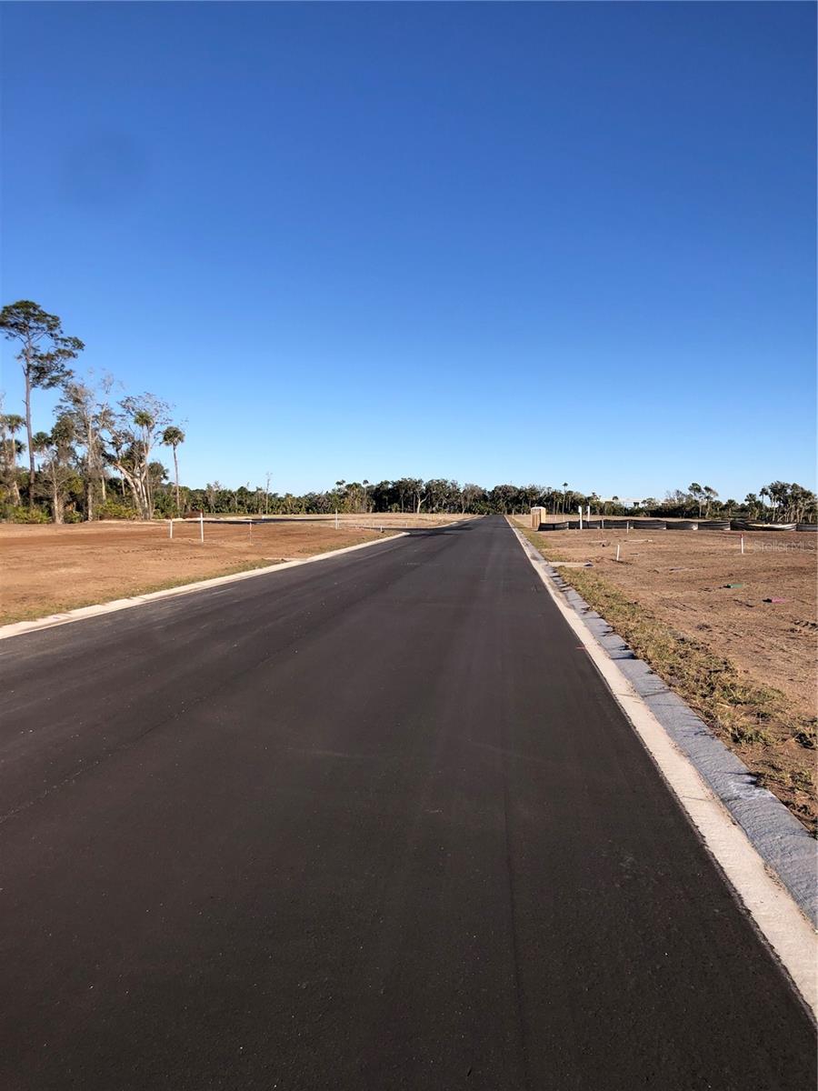 50 CORONADO RD