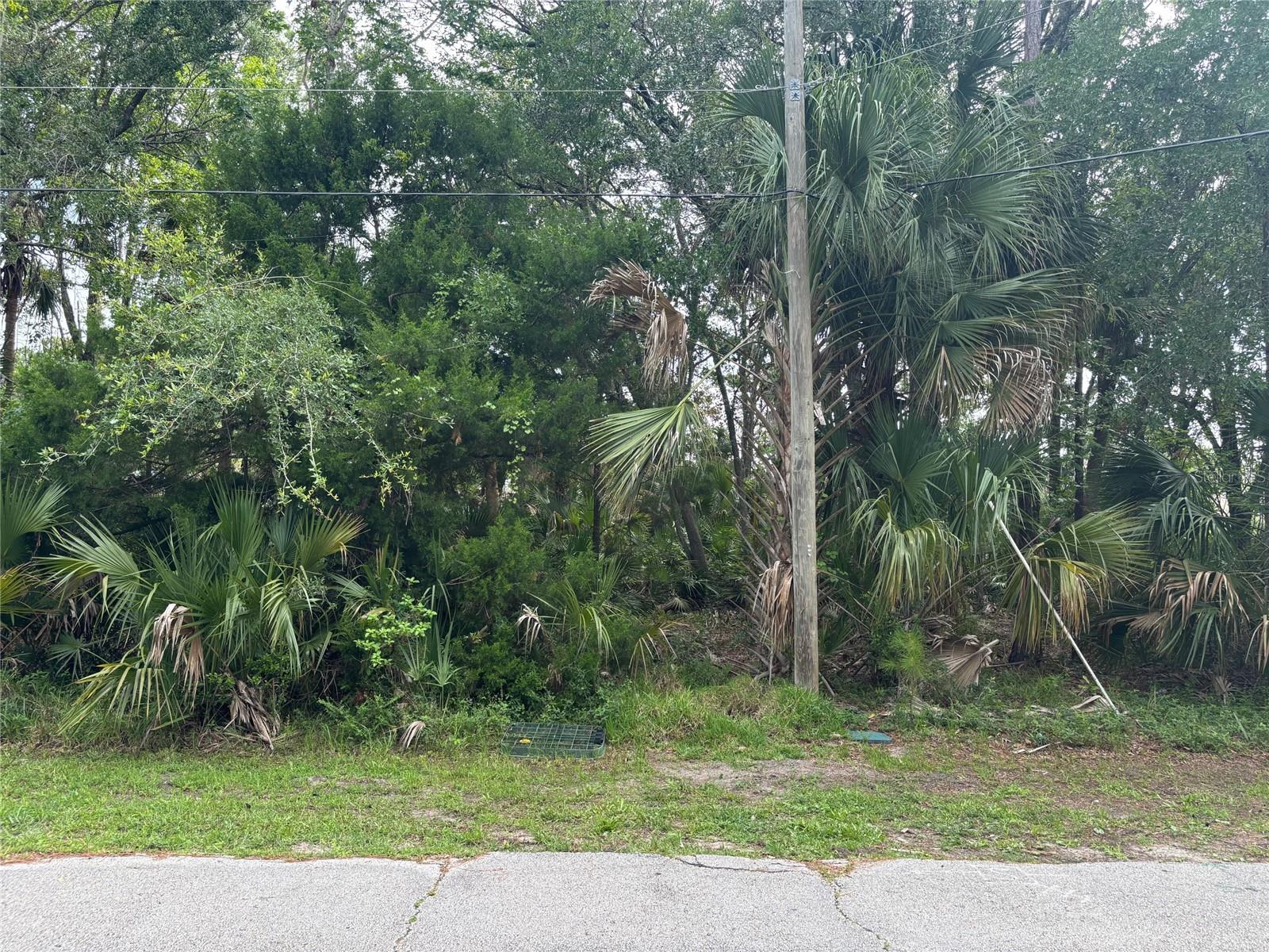 39 POPLAR DR