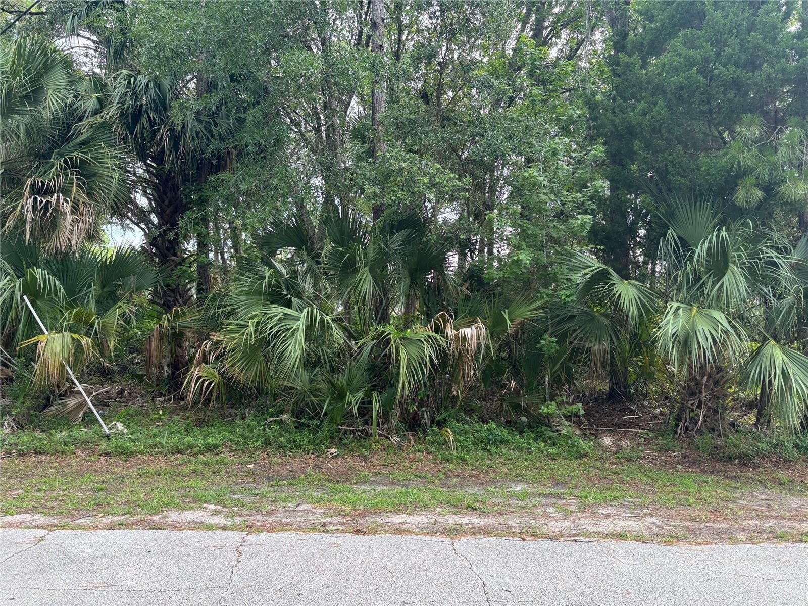 PALM COAST