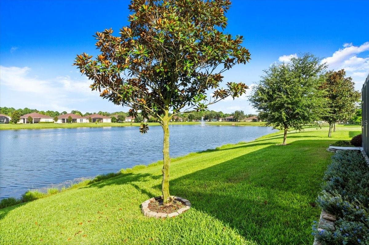 13 ARENA LAKE CIR