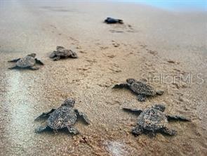 3715 N OCEAN SHORE BLVD