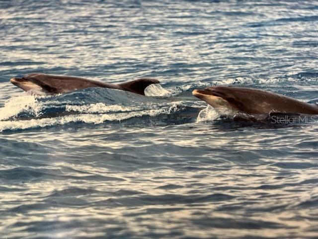 3715 N OCEAN SHORE BLVD