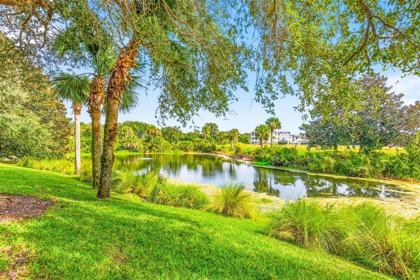 12 RIVERPOINT DR #12