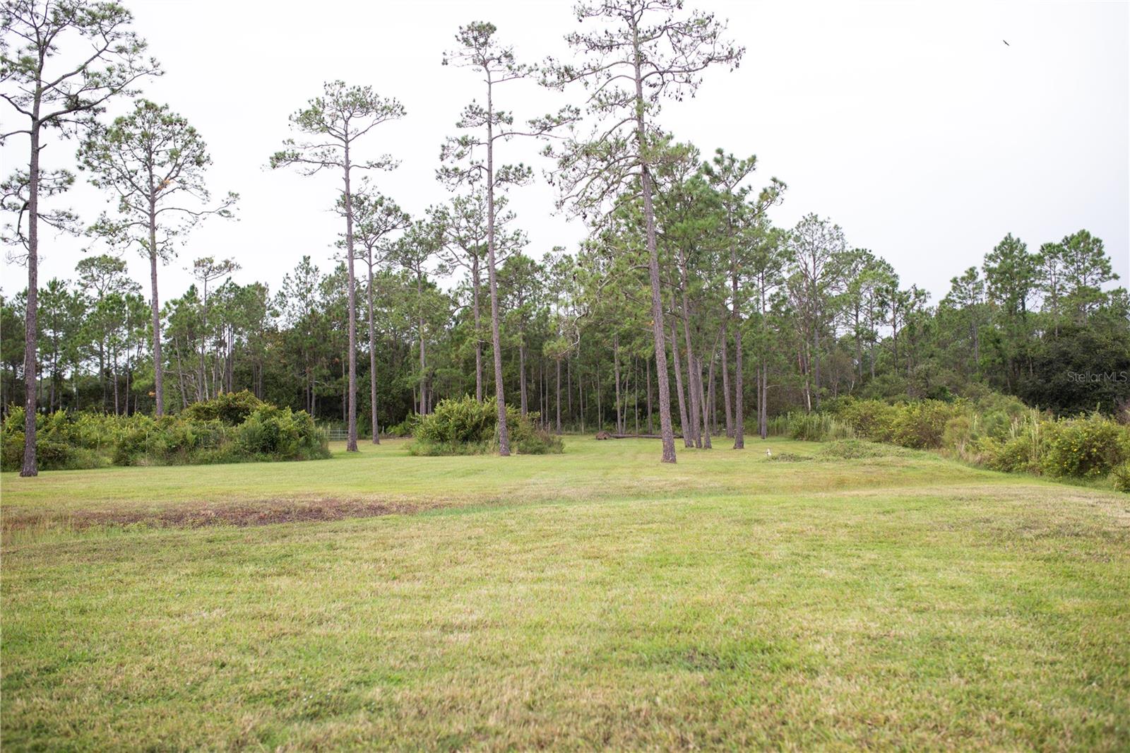 320 RODEO RD
