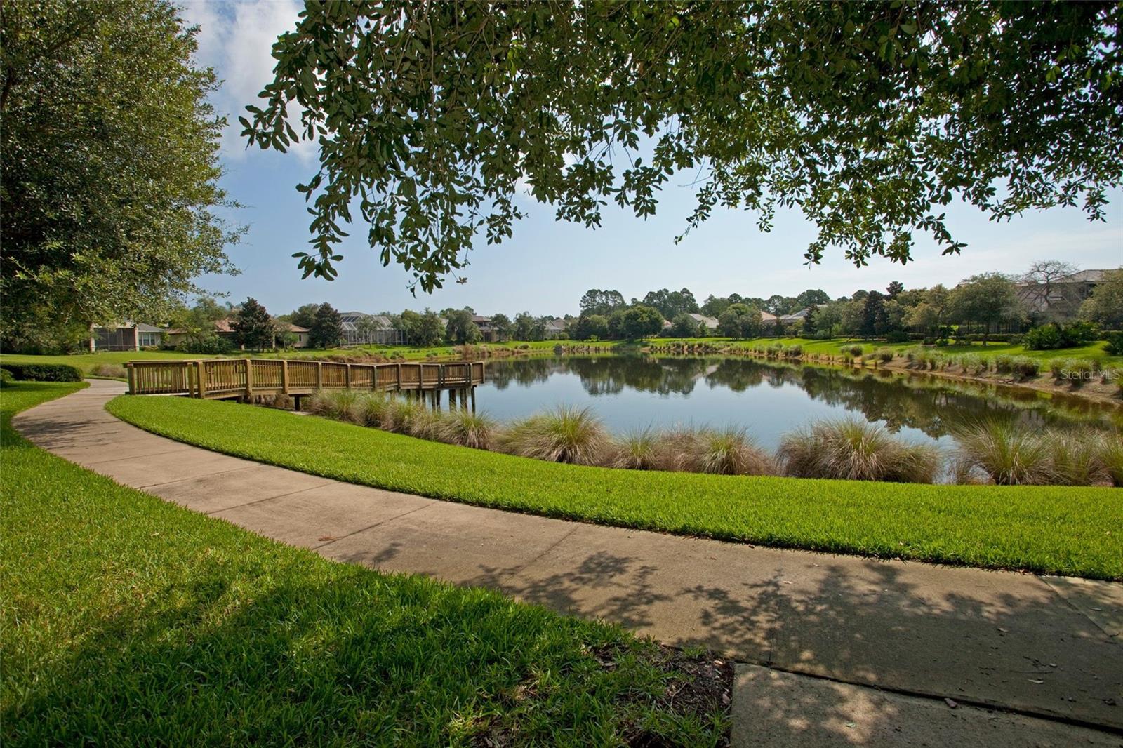165 WILLOW OAK WAY