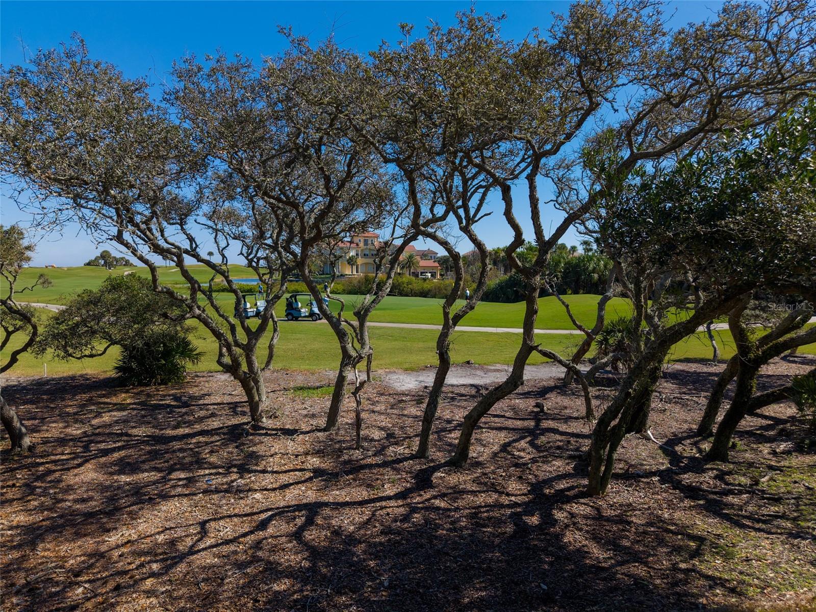 3 CORDOBA CT