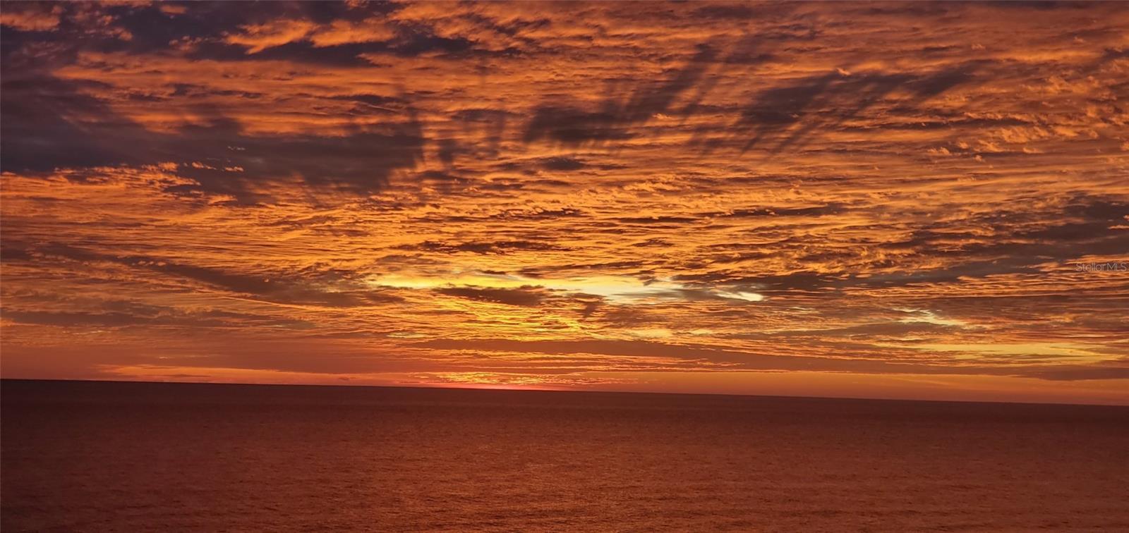 1601 N CENTRAL AVE #1002