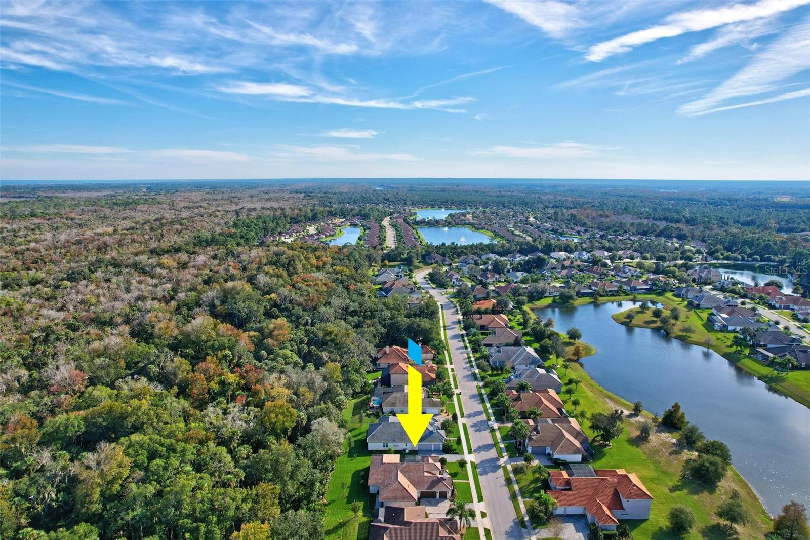 54 NEW WATER OAK DR
