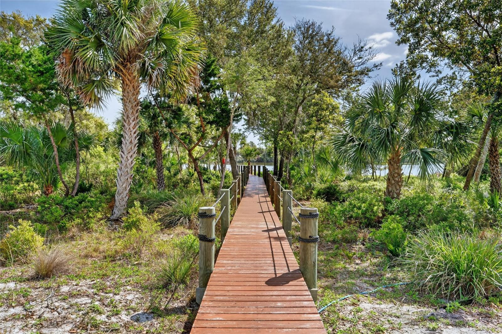 PALM COAST